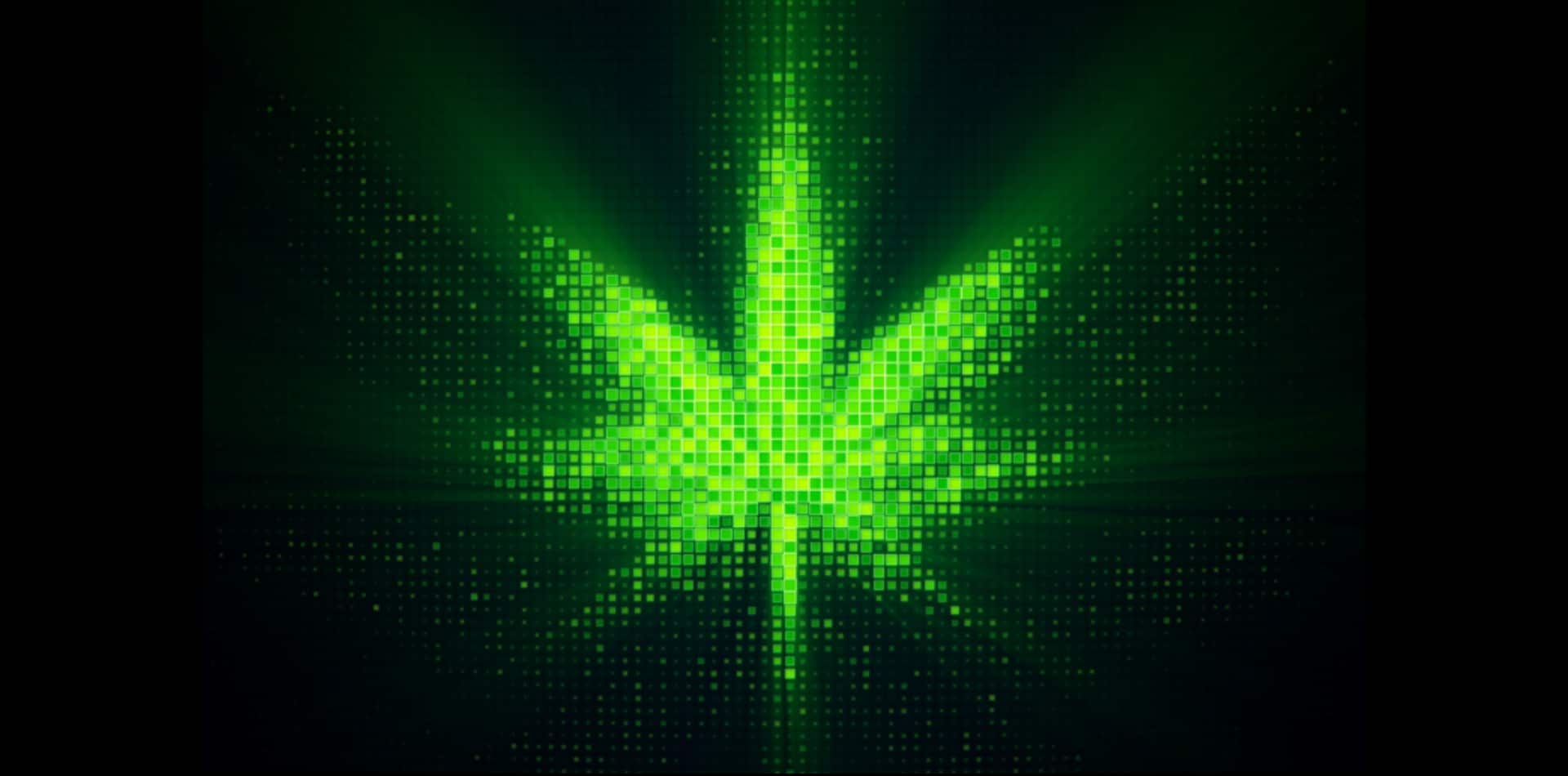 Automation is the Future of Cannabis