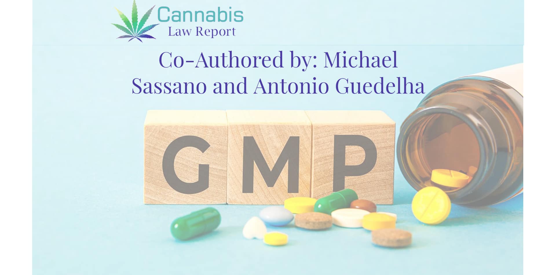 Michael Sassano e Antonio Guedelha: GMP# 17: Previsioni di mercato e gestione del budget GMP