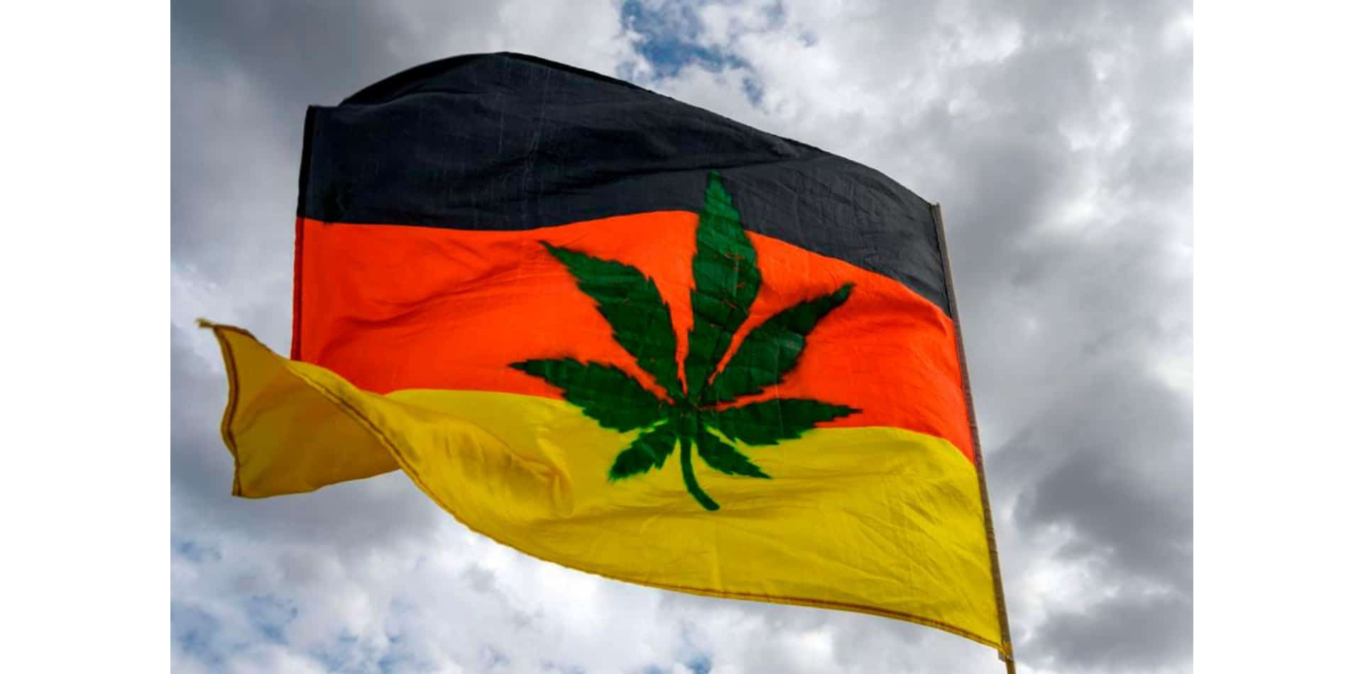 Perché la Germania non è il futuro leader della cannabis europea