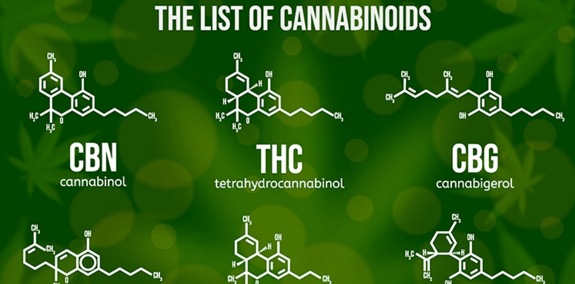 L'opportunità di migliorare l'assorbimento dei cannabinoidi utilizzando gli etosomi