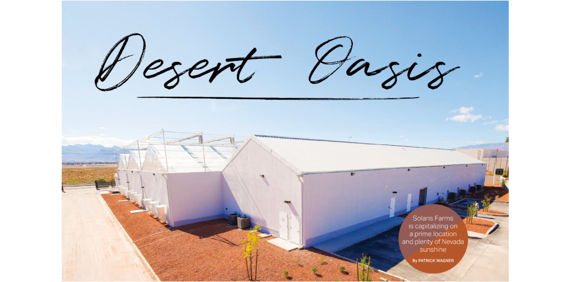 Desert Oasis | Solaris Farms sta sfruttando una posizione privilegiata e il sole del Nevada (pag. 58-61 del numero di novembre)