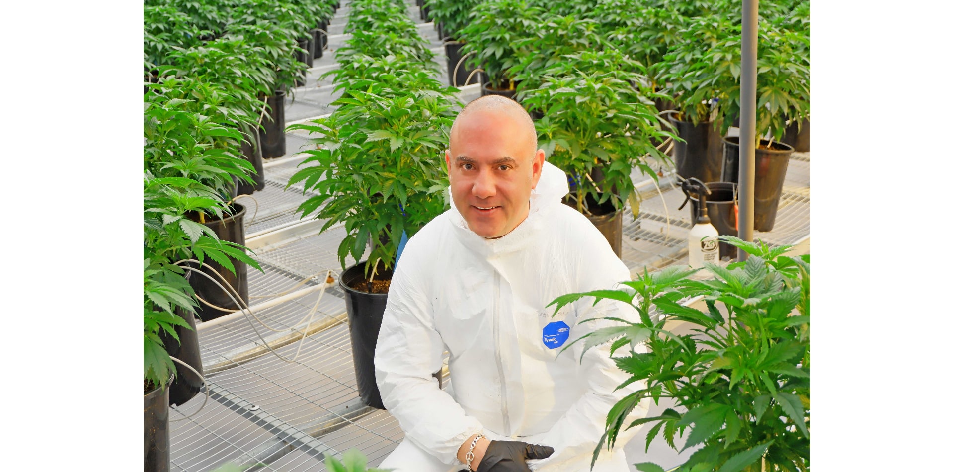 Michael Sassano: l'uomo che porta il know-how della cannabis statunitense in Europa