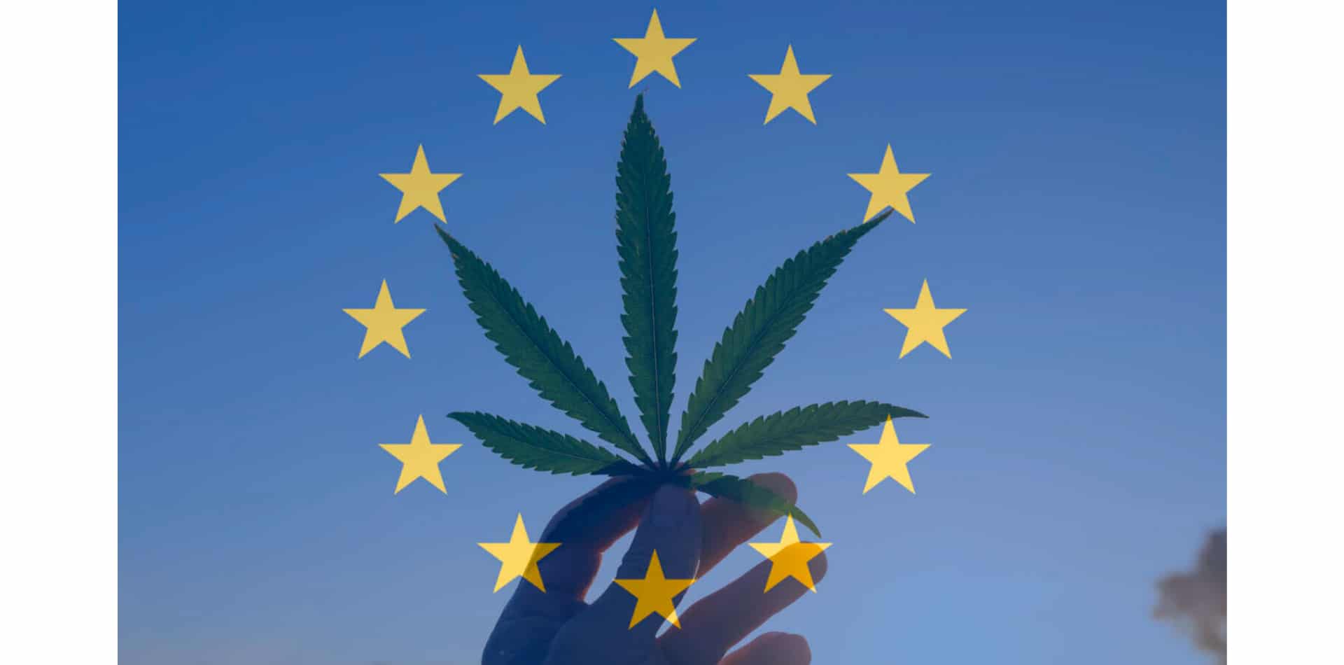 La mossa della Germania di legalizzare la marijuana scatenerà un incendio in Europa, dice l'amministratore delegato della cannabis