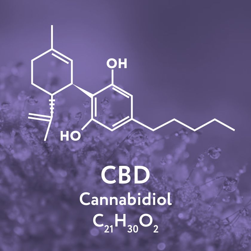 cbd