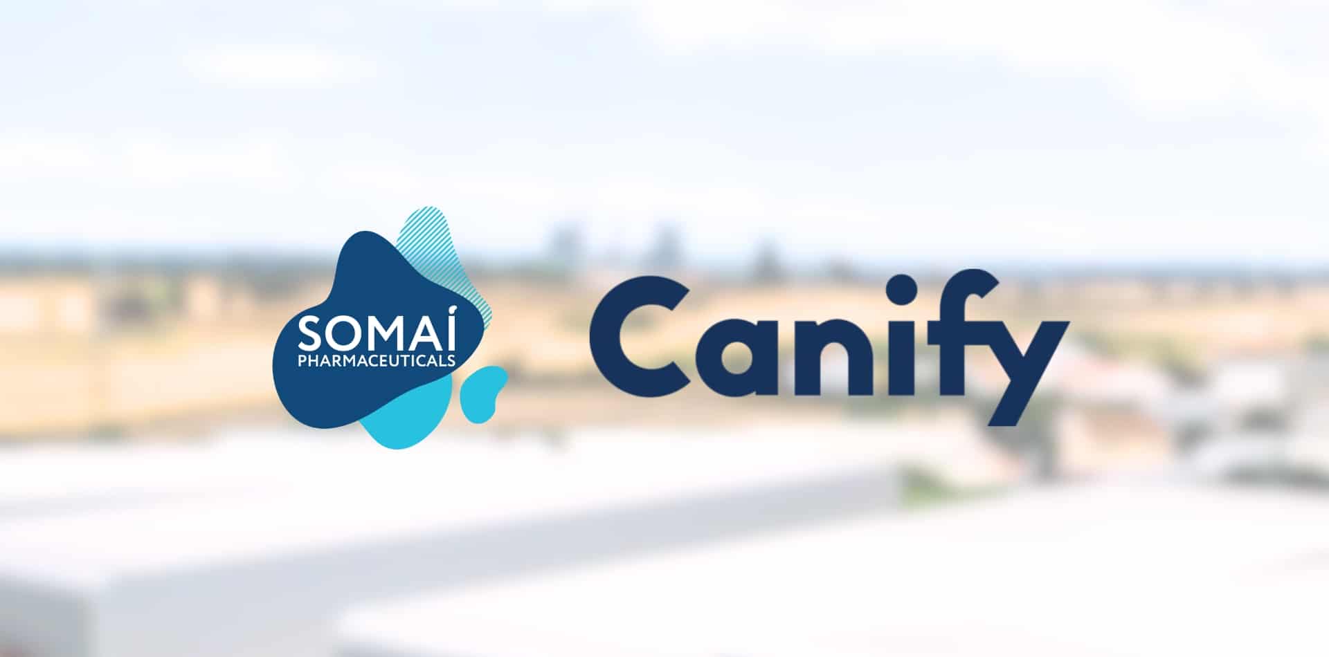 SOMAÍ Pharmaceuticals e Canify annunciano la loro partnership per introdurre una linea di prodotti a base di cannabinoidi in Germania