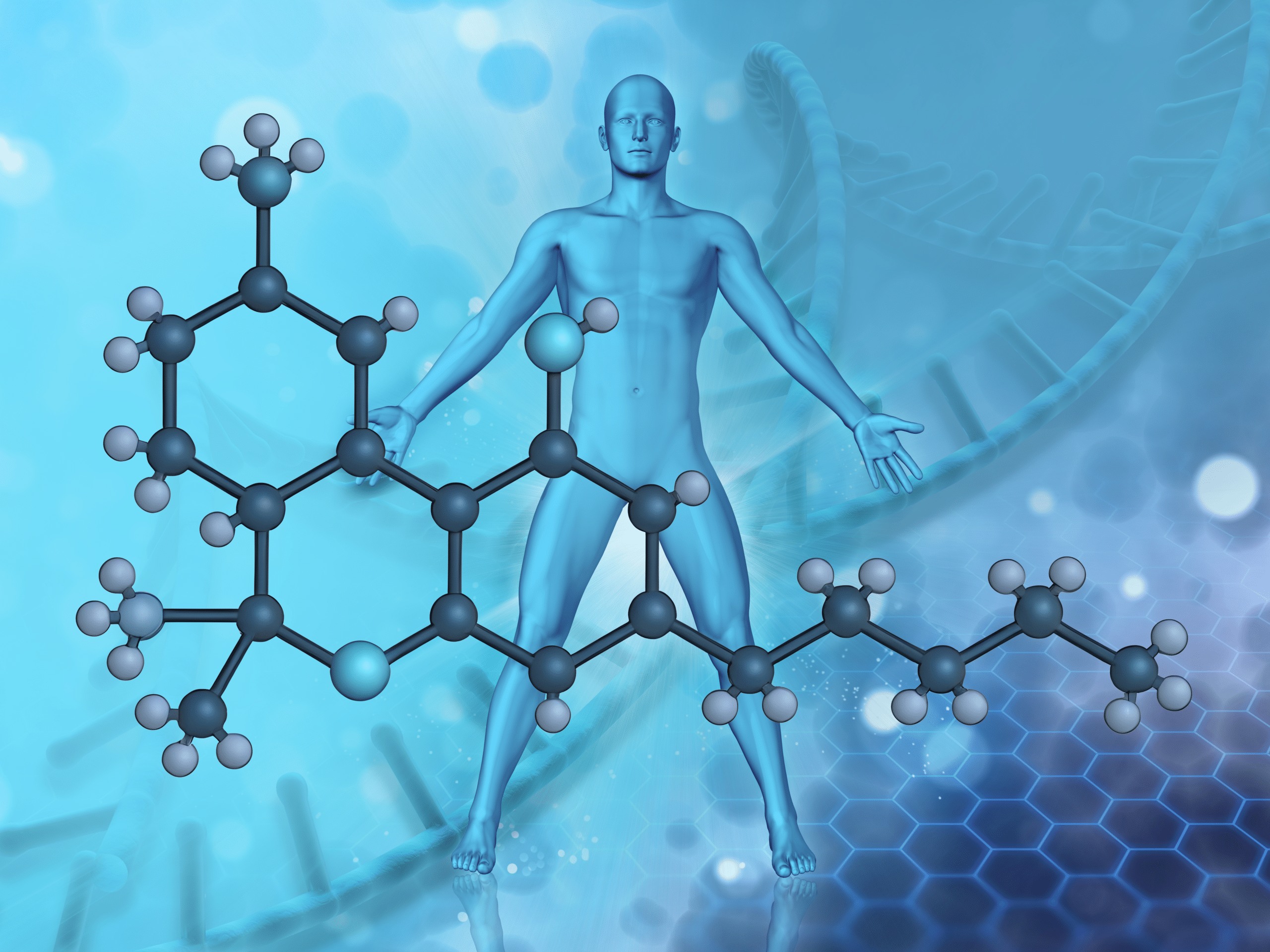 Demistificare il THC: come funziona il tetraidrocannabinolo nell'organismo