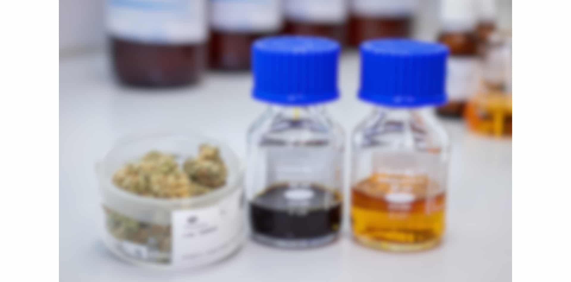 Notizie ICBC: I prodotti legali di cannabis globale stanno diventando più diversificati