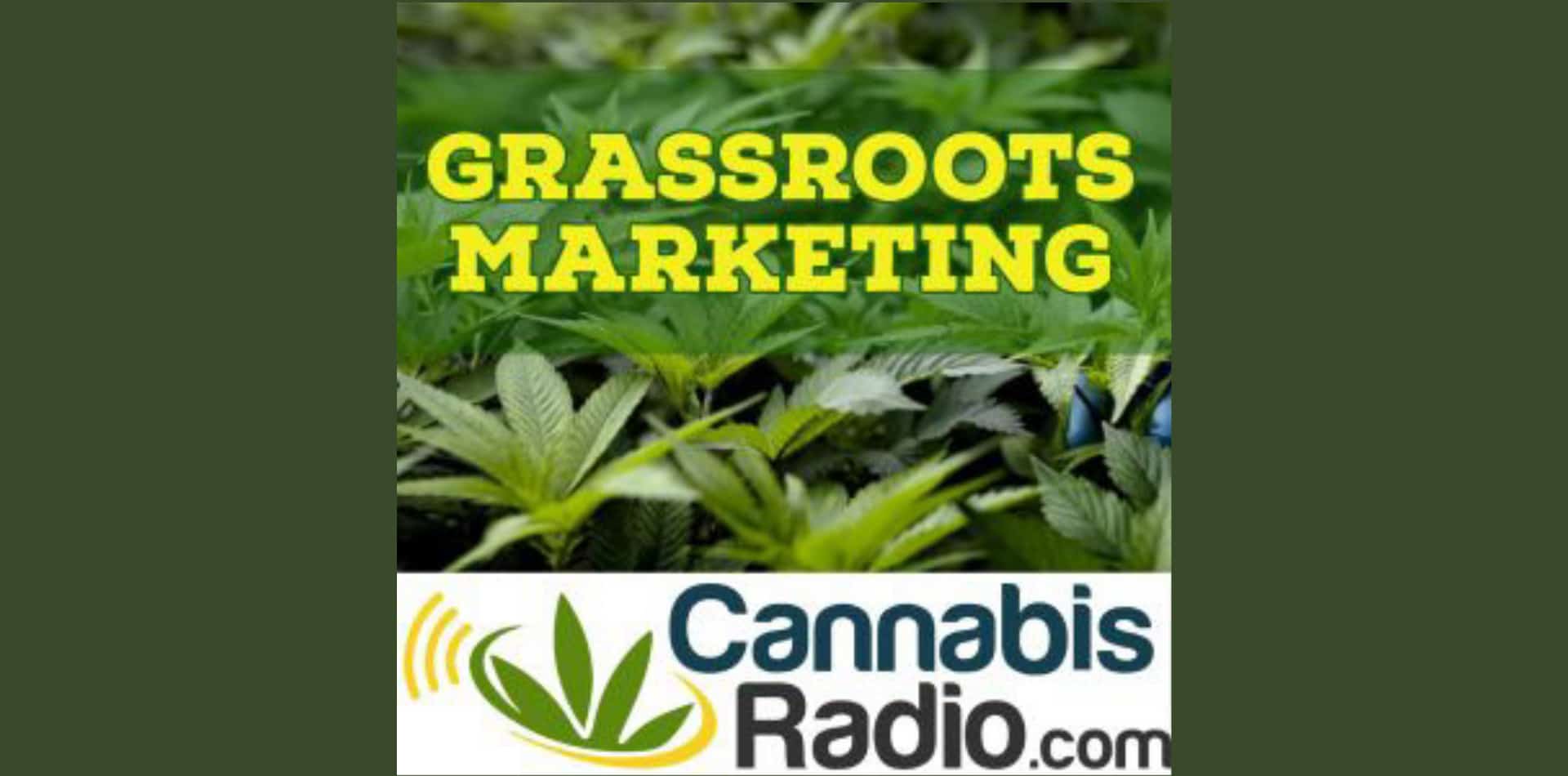 Podcast di Glassroots Marketing: Cannabis farmaceutica e l'influenza di Big Pharma